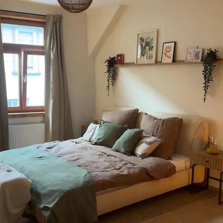 Wohlfühloase In Der Altstadt 200m Vom Marktplatz Entfernt * Goslar